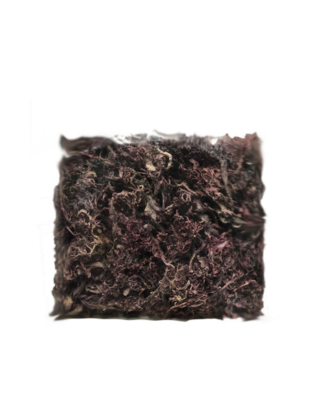 Purple Irish Sea Moss